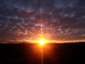 🐦 another beautiful #sunset view from…