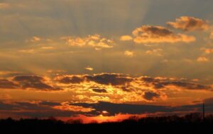 🐦 Yet again #sunset from our #officev…