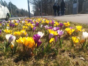 🐦 After the sun is back from #solarec…